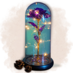 Rose Éternelle Mauve