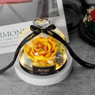 Rose Éternelle sous Cloche Grise (Copie)