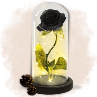 Rose Éternelle Rouge (Copie)